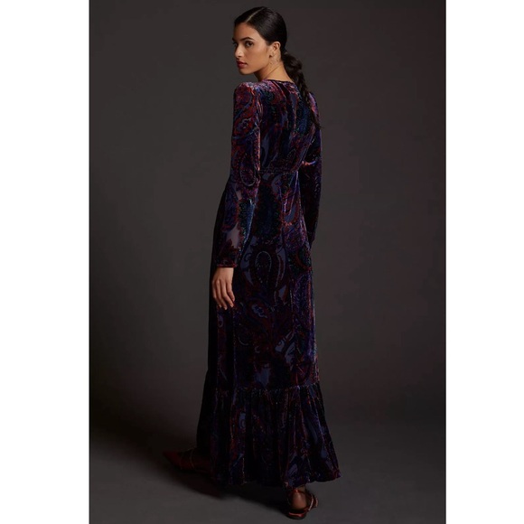 Anthropologie Burnout Velvet Maxi Dress - Picture 3 of 15